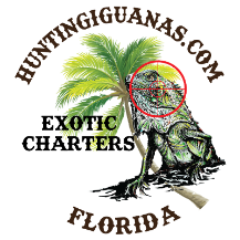 huntingiguanas.com