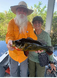 Hunting Iguanas Florida