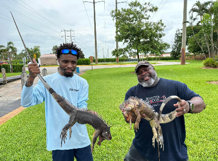 Iguana Hunts Fort Luaderdale Florida